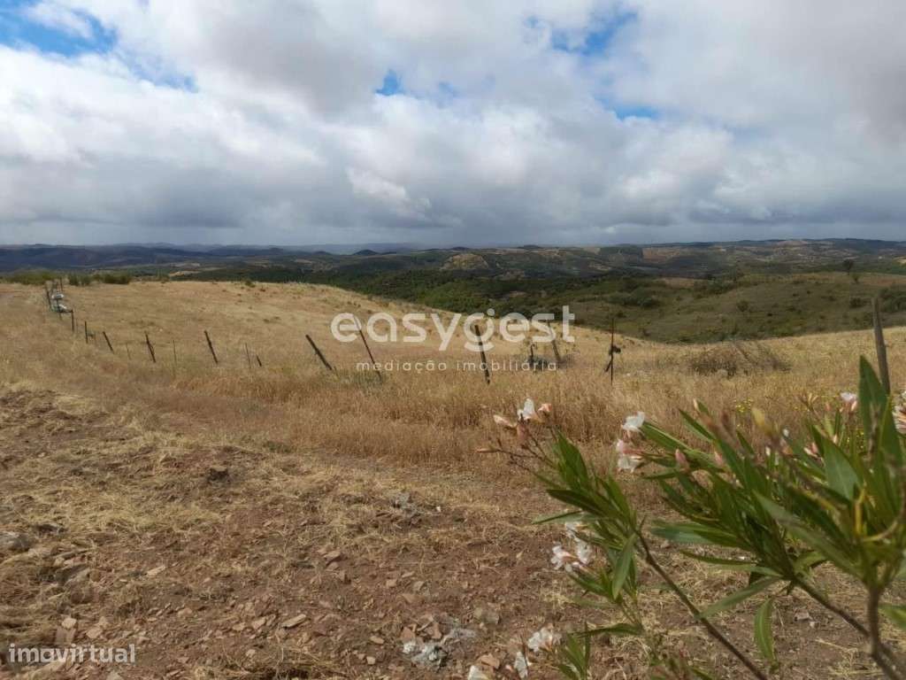 Monte para recuperar localizado na freguesia de Martim Longo - Grande imagem: 4/46