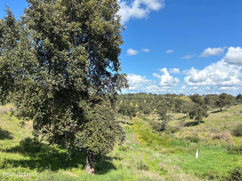 Quinta T2 em Serpa | Vista para a barragem-35