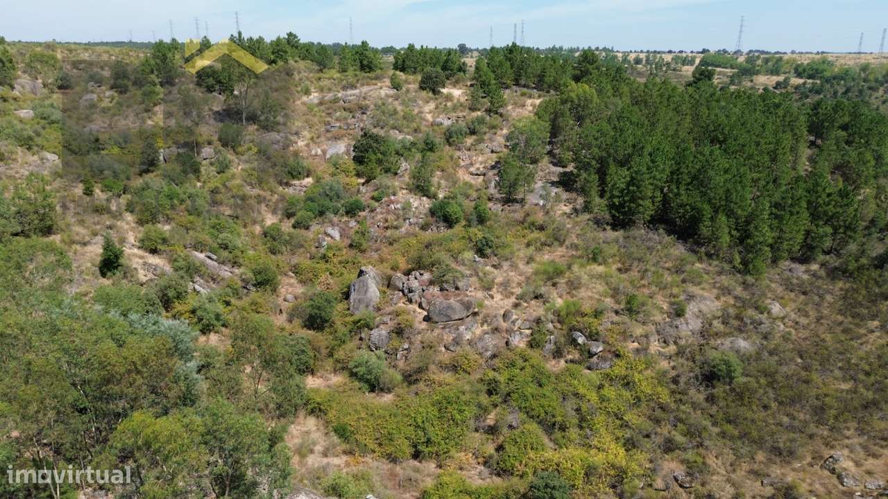 Terreno Rústico  Venda em Póvoa de Rio de Moinhos e Cafede,Castelo Bra - Grande imagem: 5/7