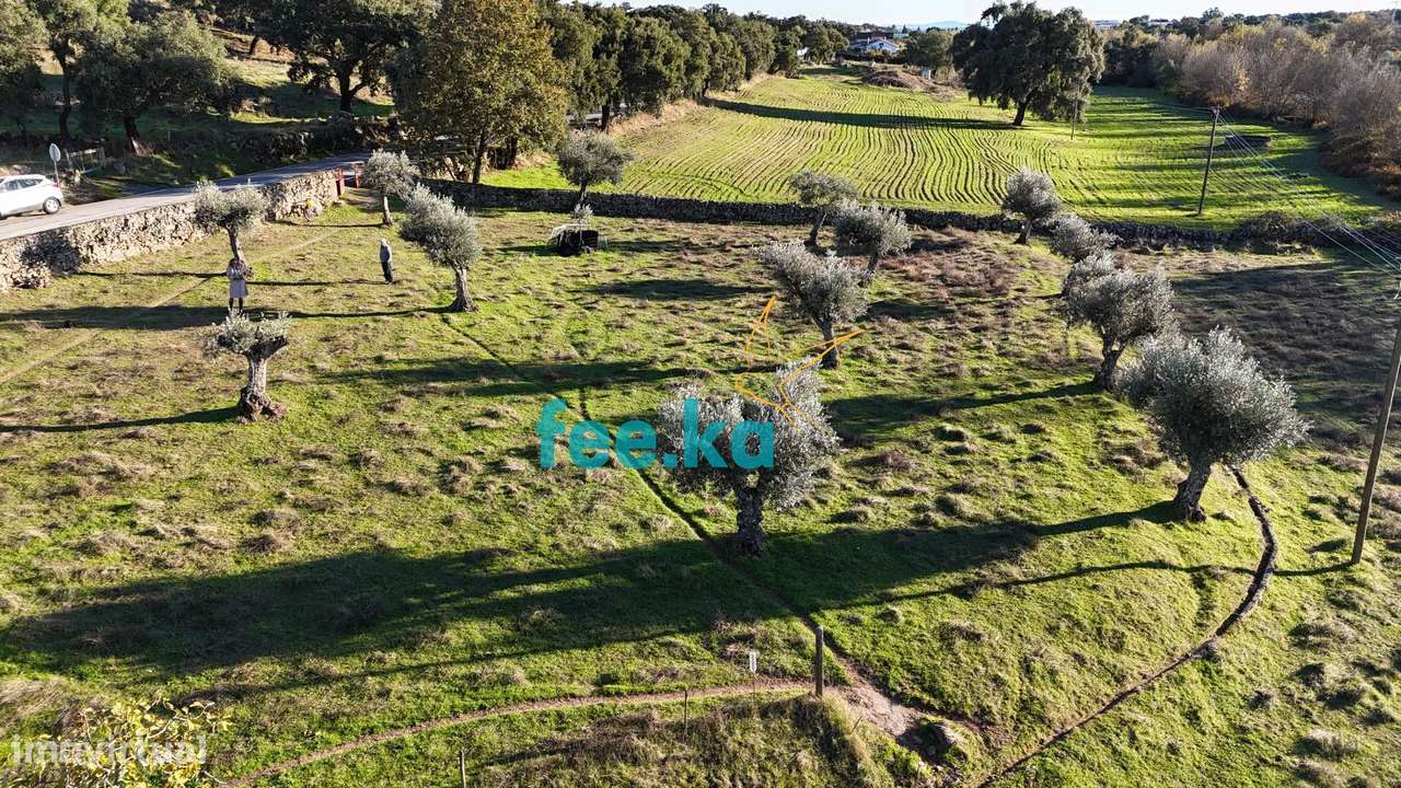 Quinta em Escalos de Baixo-35