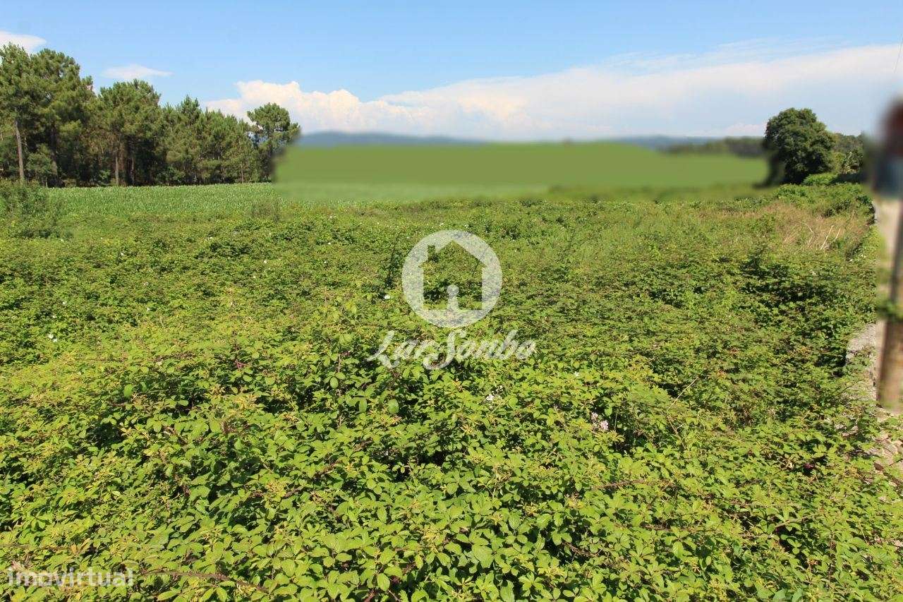 Terreno para construção - Grande imagem: 4/29