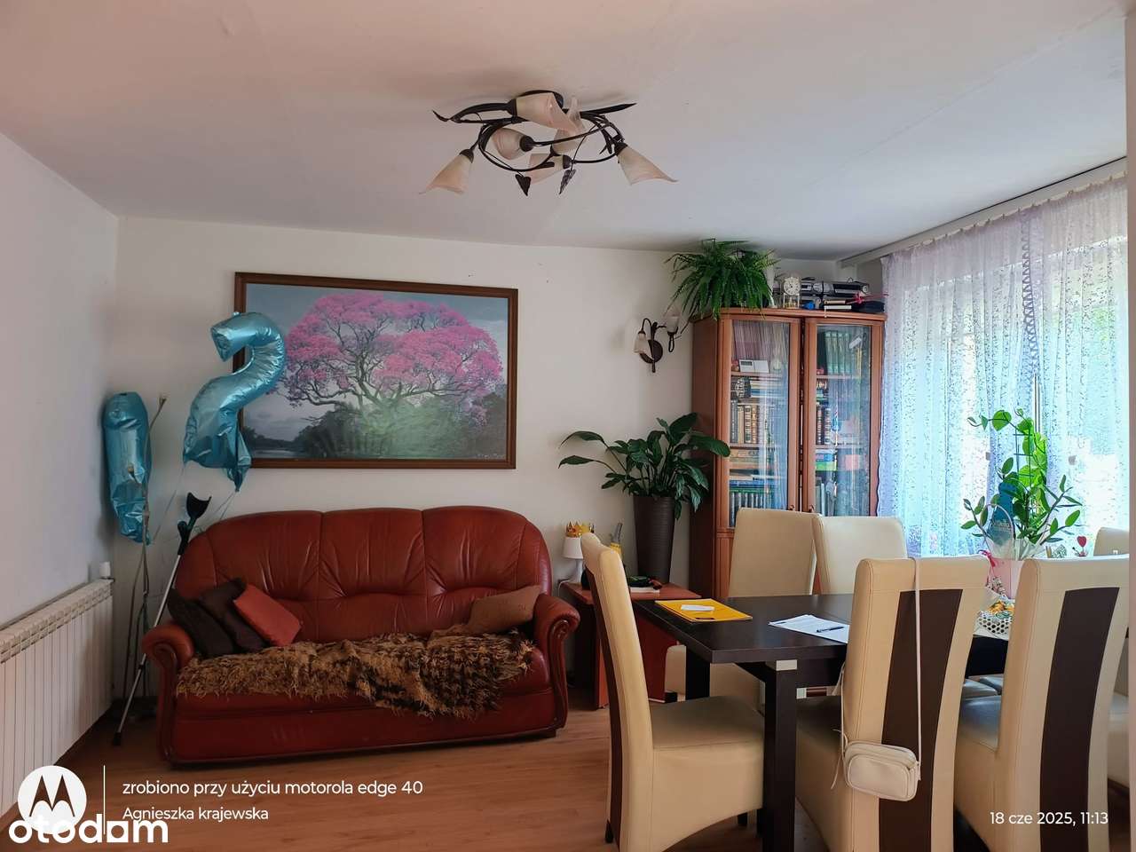 Dom wolnostojący z garażem i budynkami gospodarczymi. - Pełny obrazek: 5/14