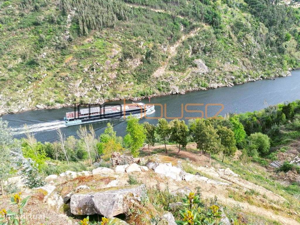 Quinta com frente de Rio Douro-6