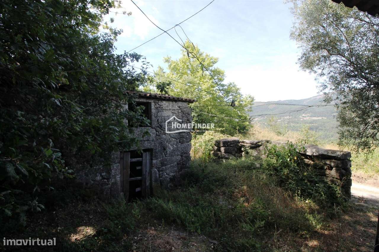 Moradia para Recuperar com Amplo Terreno e Potencial Infinito em Frian-16