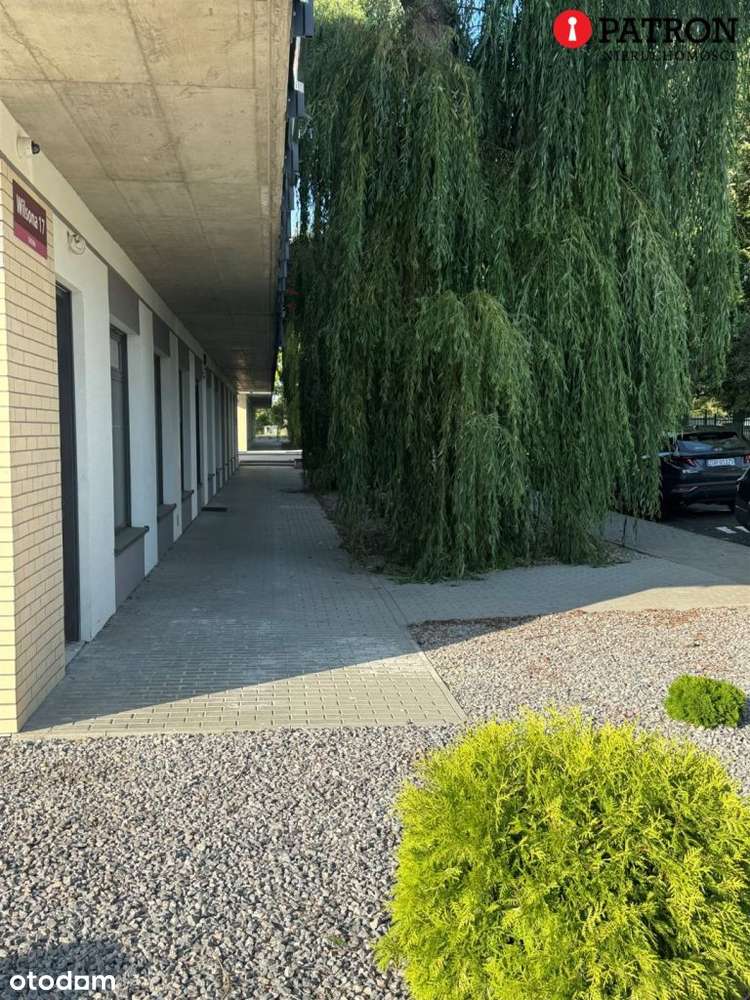 Ostatni lokal użytkowy przy Wilsona 19 w Chojnie-5