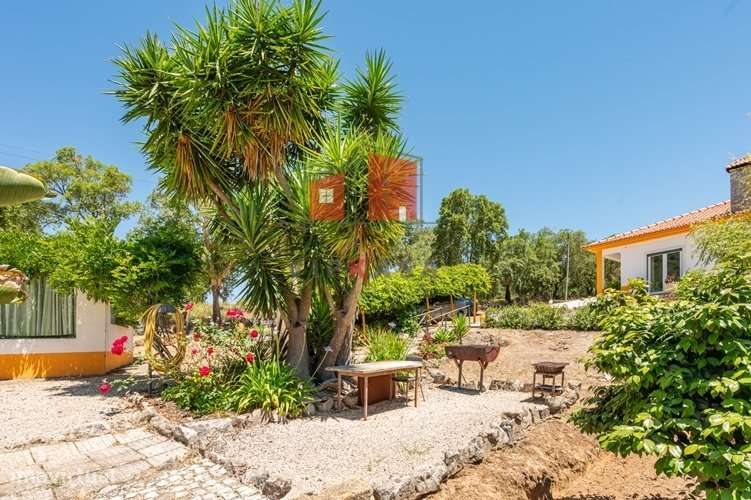 Moradia térrea T3 com terreno de 5,056m2-13