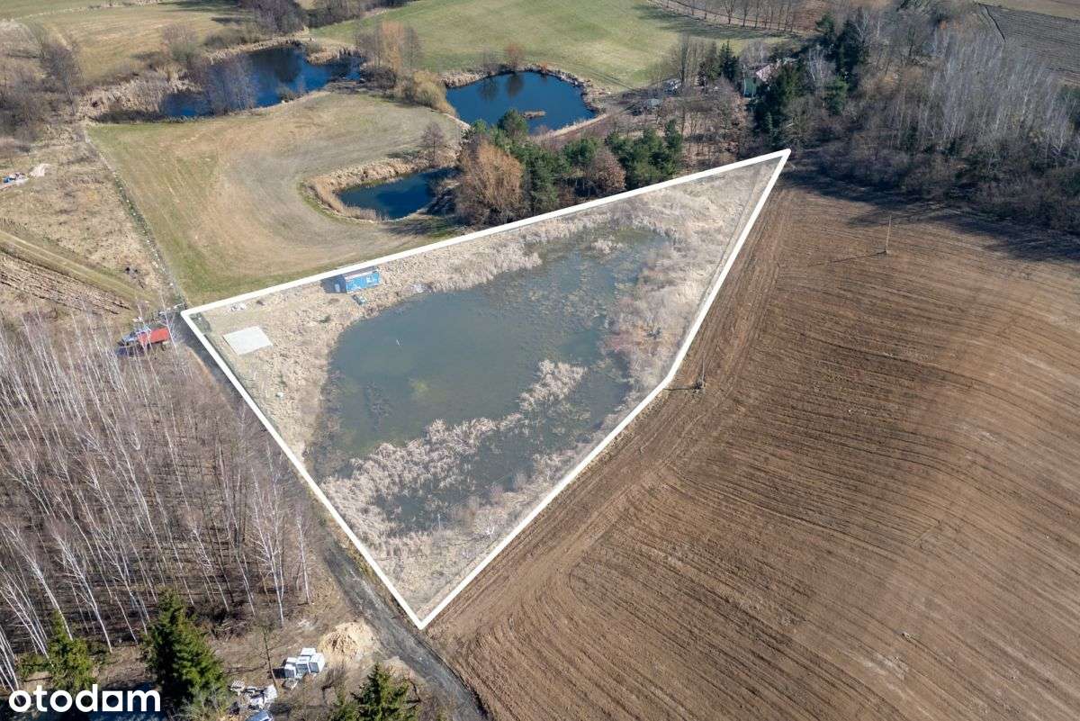 Działka z dużym stawem z WZ - Pełny obrazek: 4/11