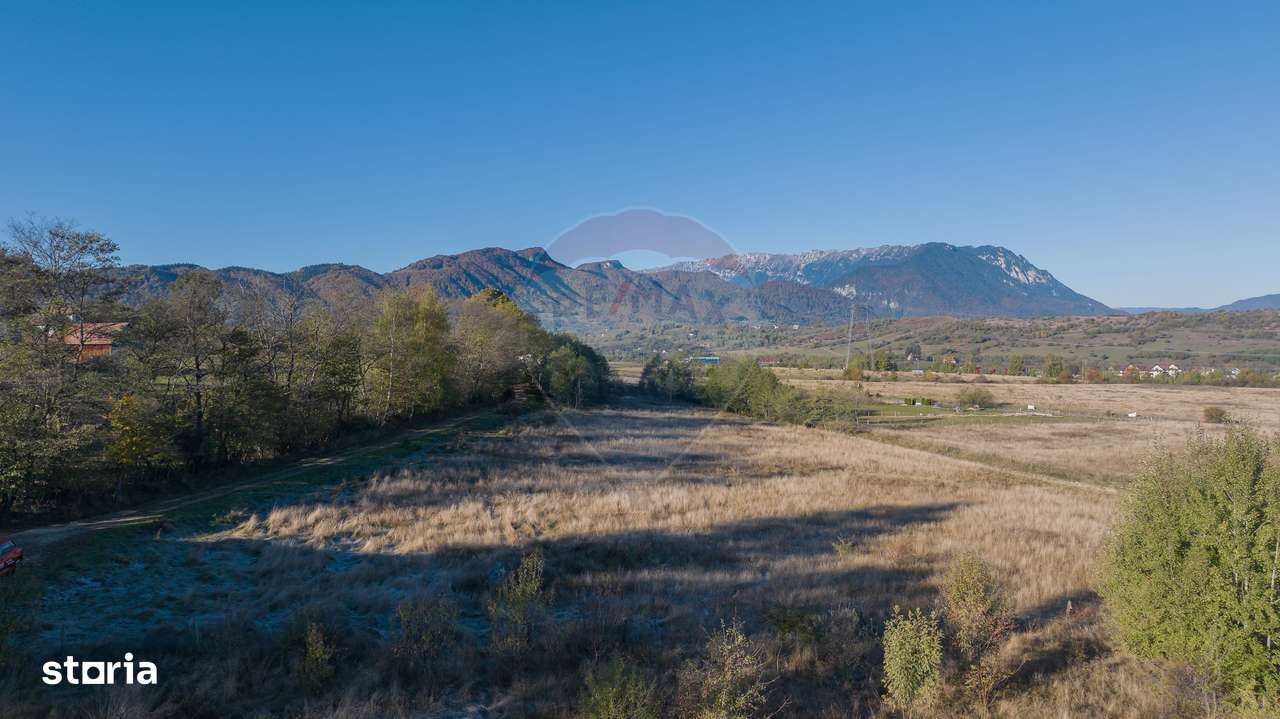 Comision 0% Teren de vânzare, zona Bran - Sohodol, 4000mp, parcelabil! - Imagine principală: 4/9