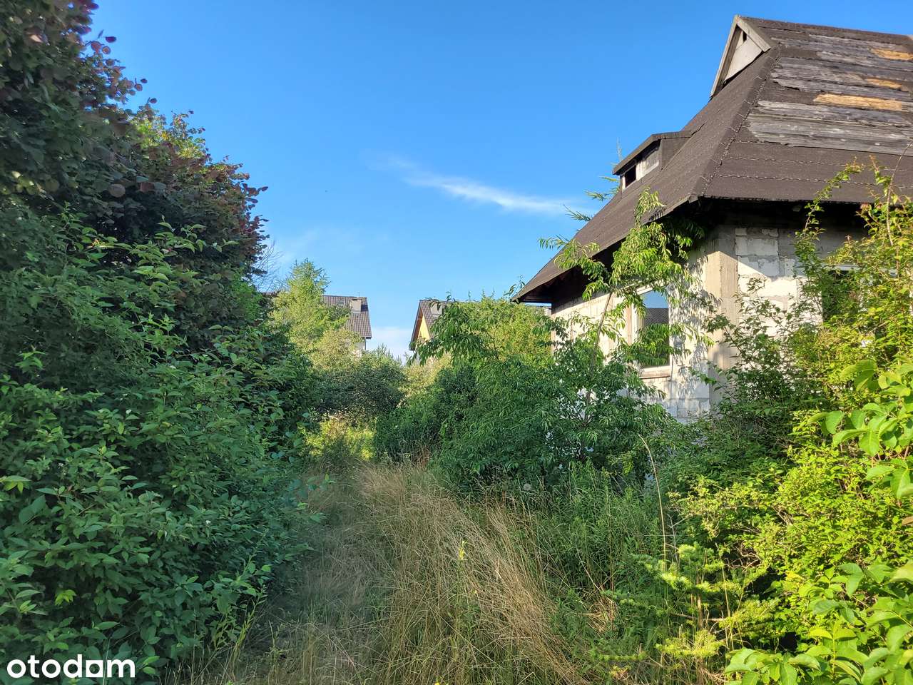 Duża działka inwestycyjna z domem - Stara Rumia - Pełny obrazek: 4/16