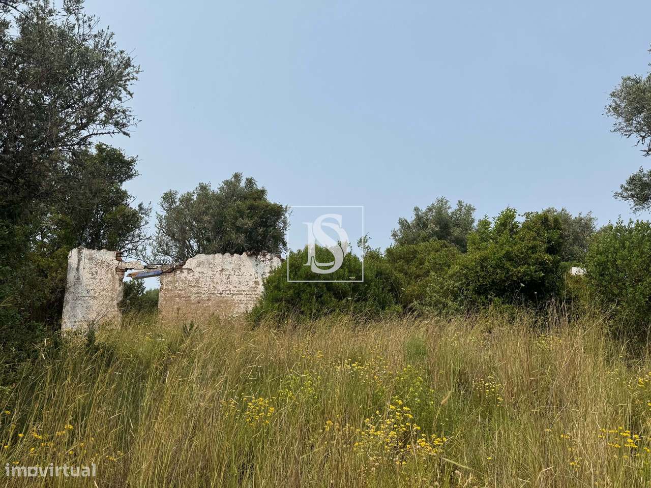 Quintinha em Montargil-5