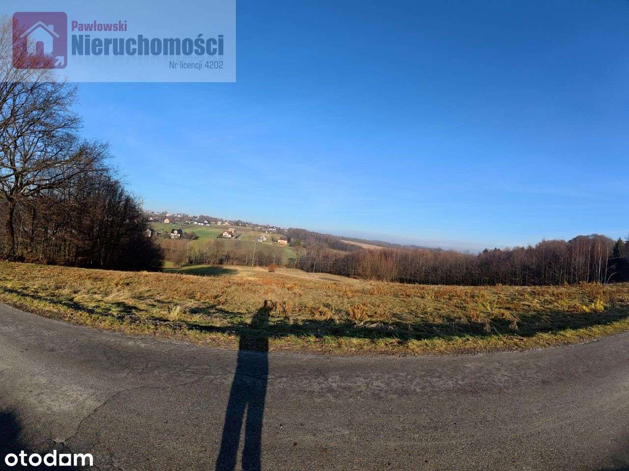 Działka, 9 325 m², Grabie-6