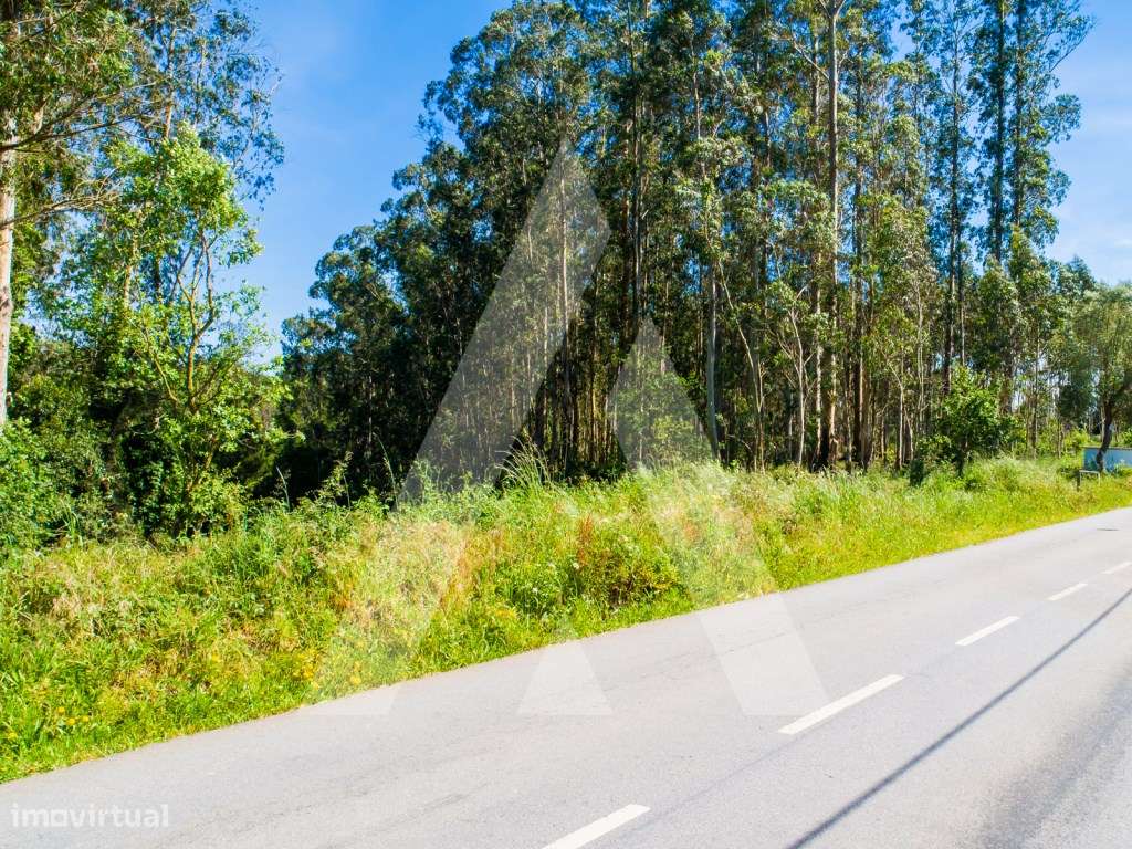Terreno para construção entre Ovar e Santa Maria da Feira. - Grande imagem: 3/22