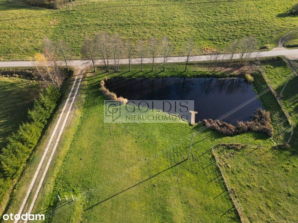 Siedlisko | Dom | Gospodarstwo z prywatnym stawem-10