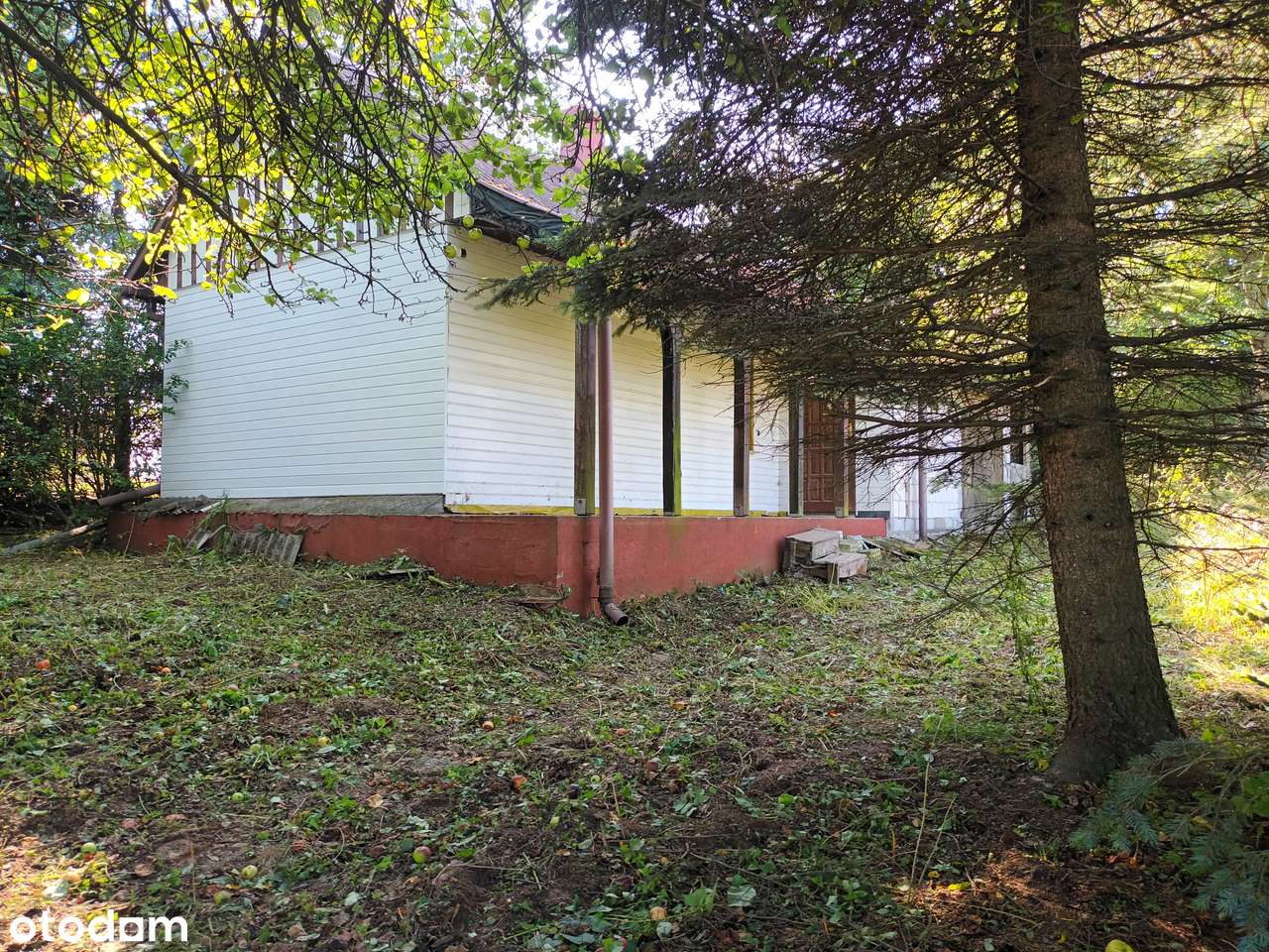 Działka godzinę drogi od Krakowa 0,7 ha Przybysławice - OBNIŻKA CENY! - Pełny obrazek: 5/11