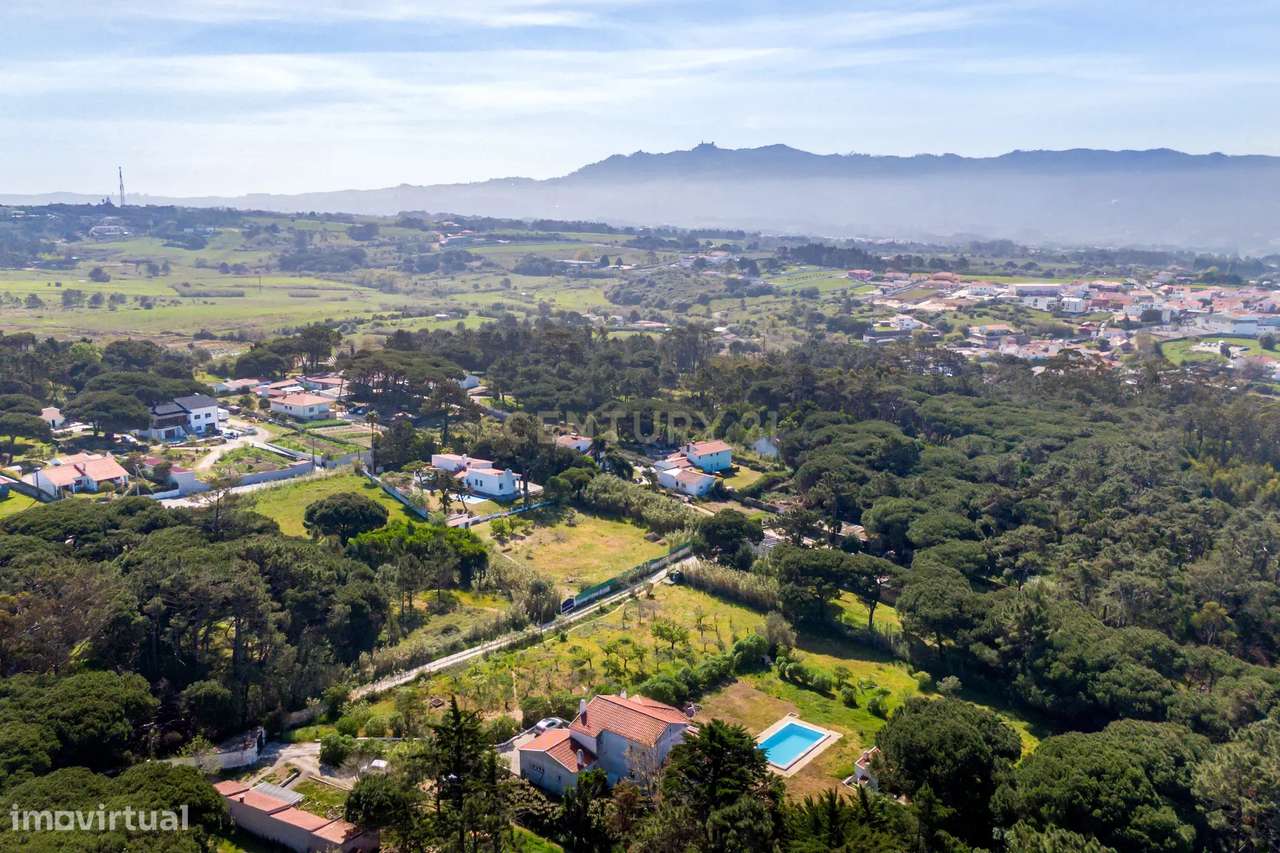 Quinta de 14000m2 com moradia T4 e piscina | Sintra-36