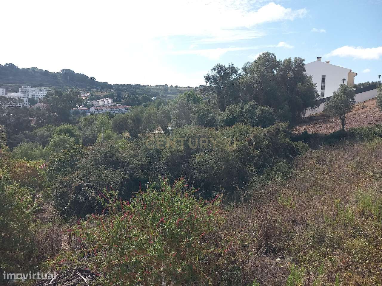 Terreno Barcarena - Grande imagem: 5/11