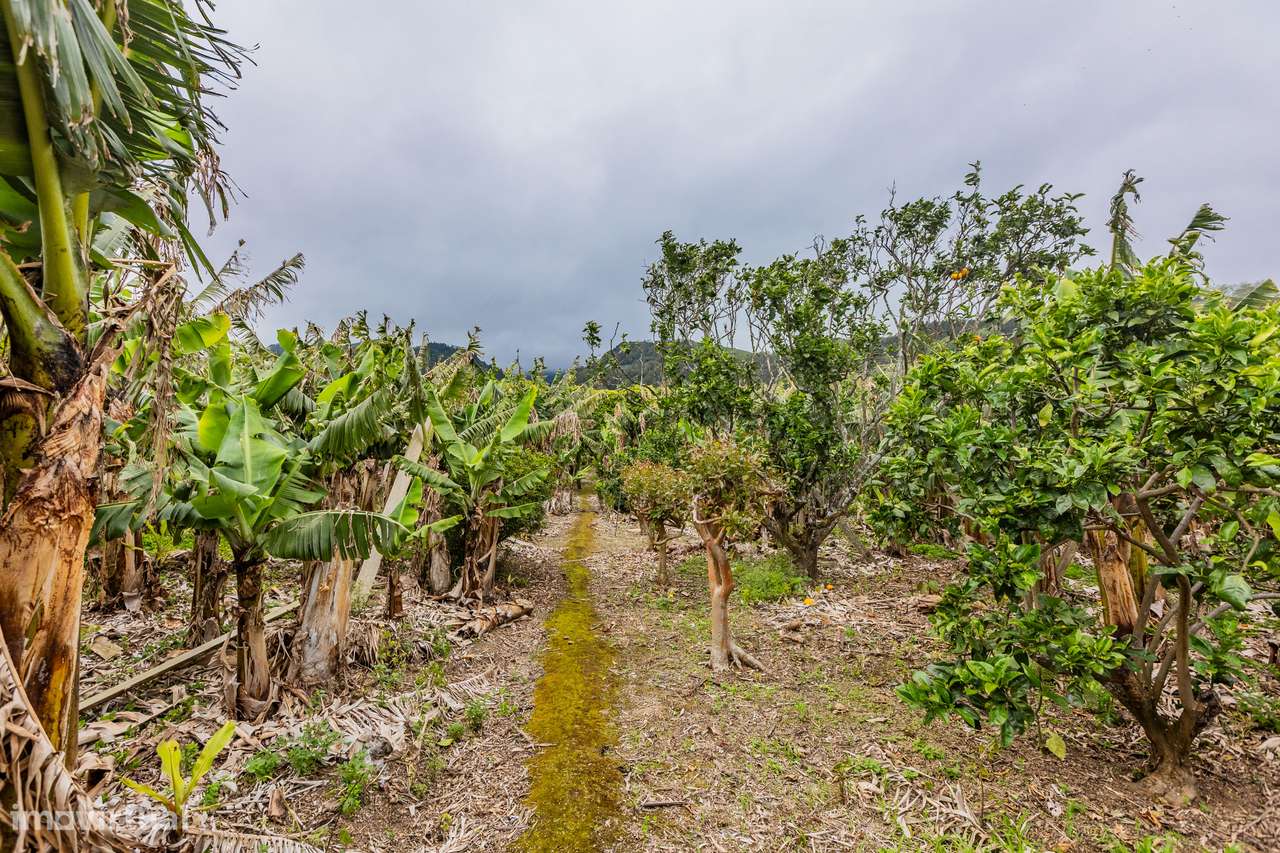 Terreno Rústico - Vila Franca do Campo - Grande imagem: 5/12