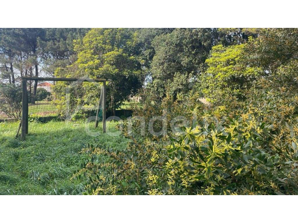 Terreno a 100 metros da praia de Valadares, Vila Nova de Gaia - Grande imagem: 4/15
