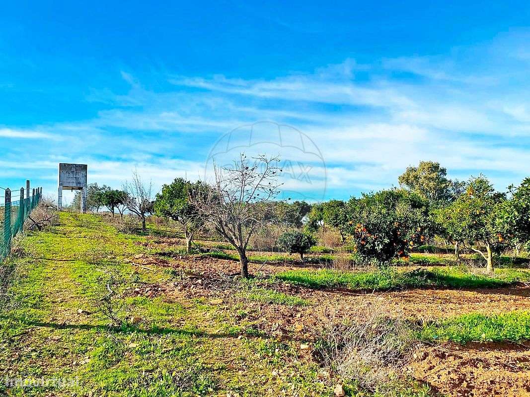 Quinta  para venda-35