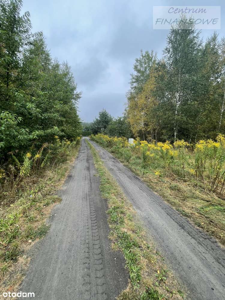 Piękna działka budowlana z mediami-5