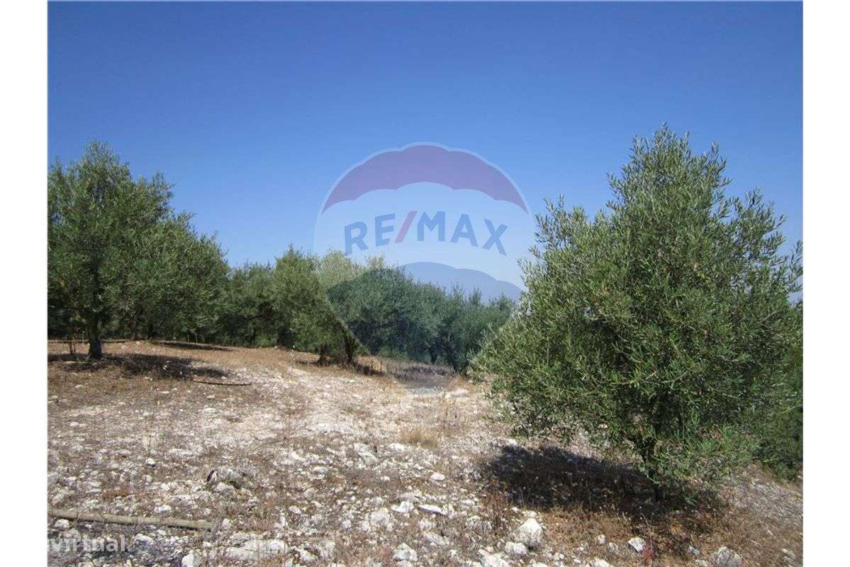 Terreno  para venda - Grande imagem: 2/49