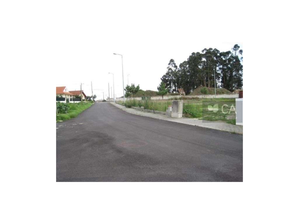 ID2845 - Grande imagem: 3/4