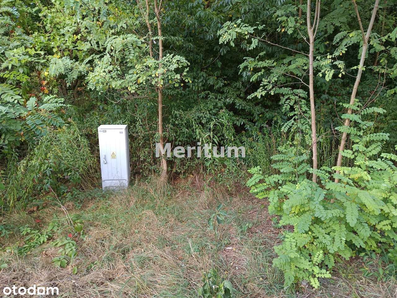 Kompleks 8 działek sprzedawanych w całości. - Pełny obrazek: 4/7