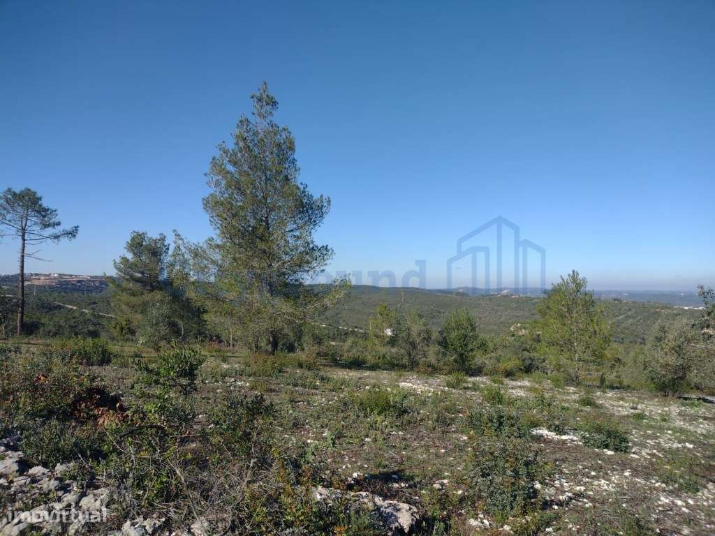 Terreno de 1505m2 urbanizável em Ortiga, Fátima com vista Castelo O...-13