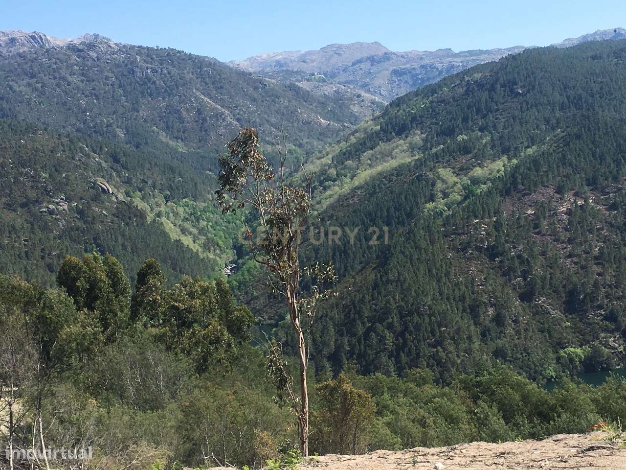 Terreno Plano de  5000m² no Gerês com Vistas Rio - Grande imagem: 4/21