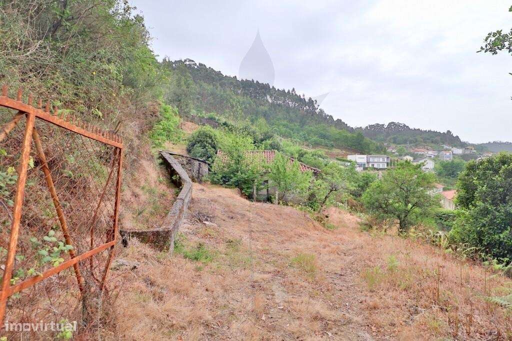 Quintinha em Escudeiros c/ aprox 3.200m2 e duas casas-26