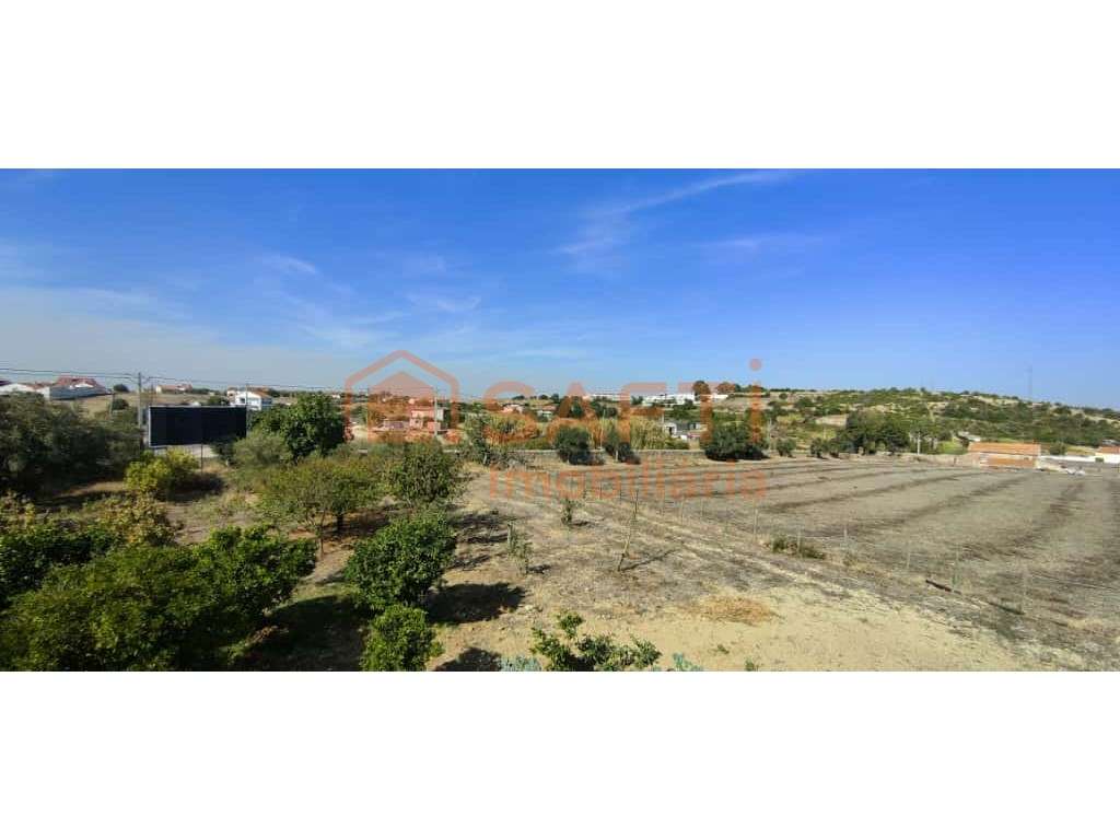 Terreno ideal para investidores e Promotores Imobiliários - Grande imagem: 4/14