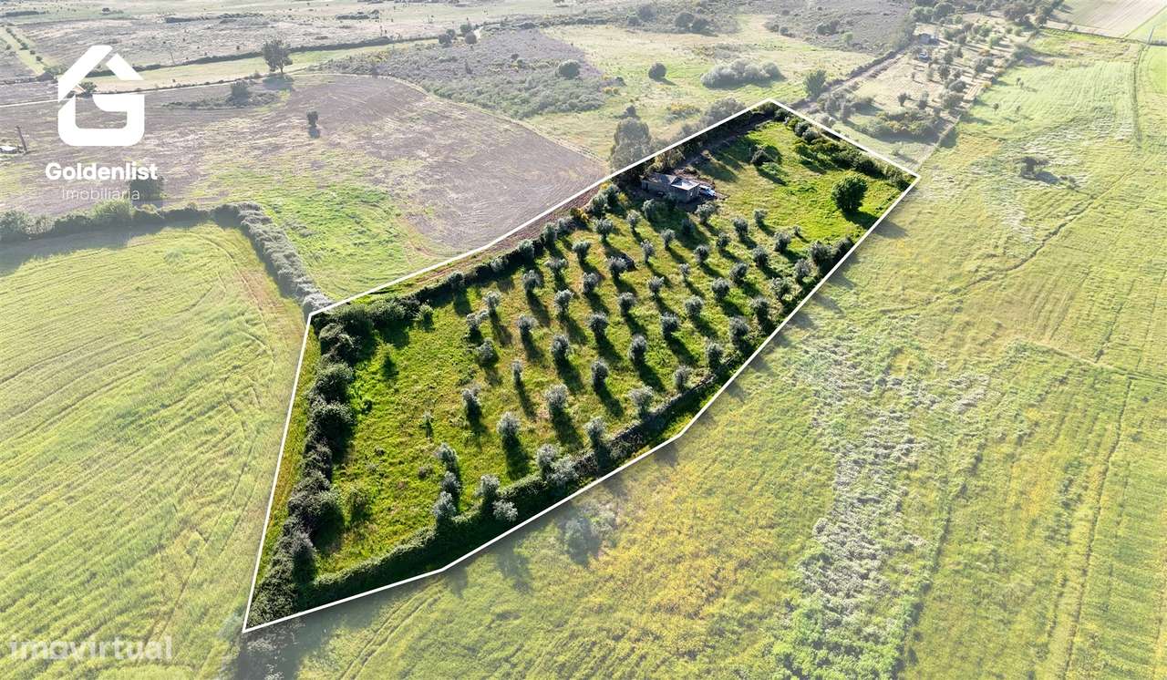 Quintinha  Venda em Escalos de Cima e Lousa,Castelo Branco-4