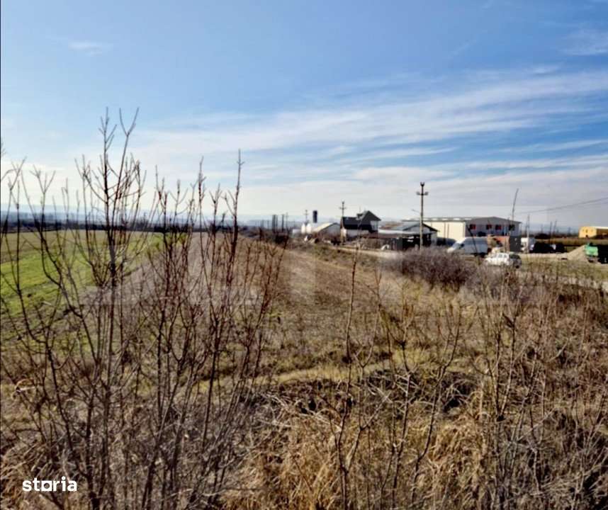 Teren intravilan 5300 mp, la DE 79, pretabil investitie in Bradesti - Imagine principală: 2/2