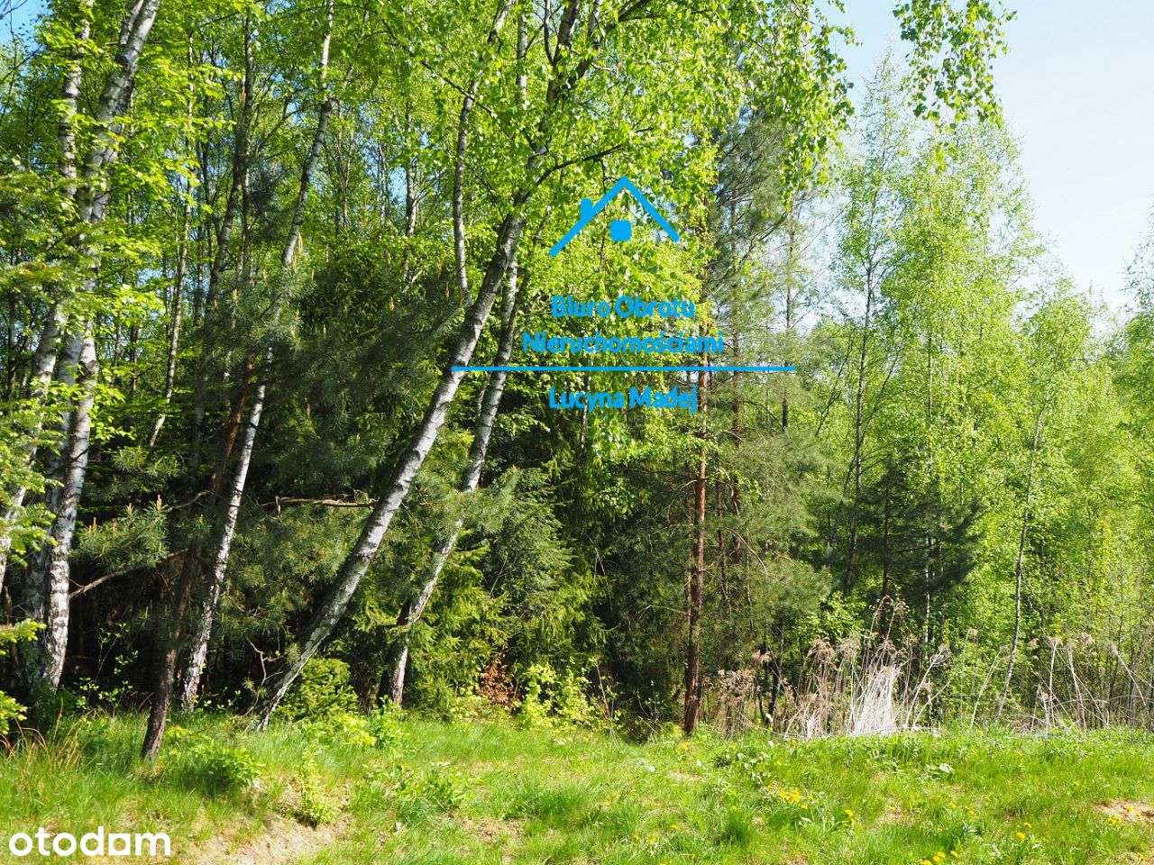 Dom w ładnym miejscu przy lesie ok. Kalwarii Zeb. - Pełny obrazek: 5/12