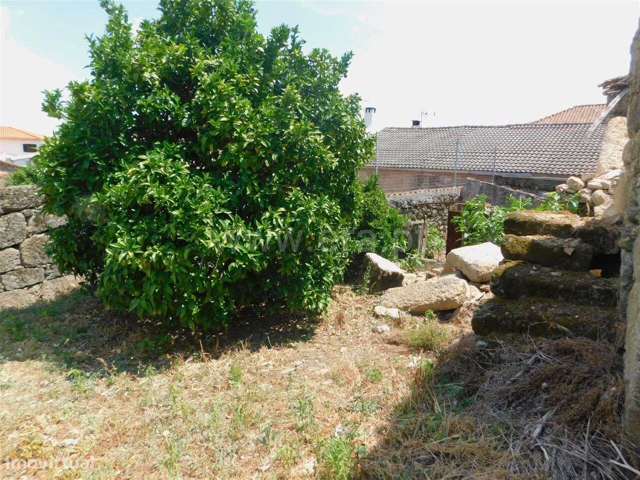 Moradia Rústica Estúdio / Covilhã, Vale Formoso - Grande imagem: 4/4