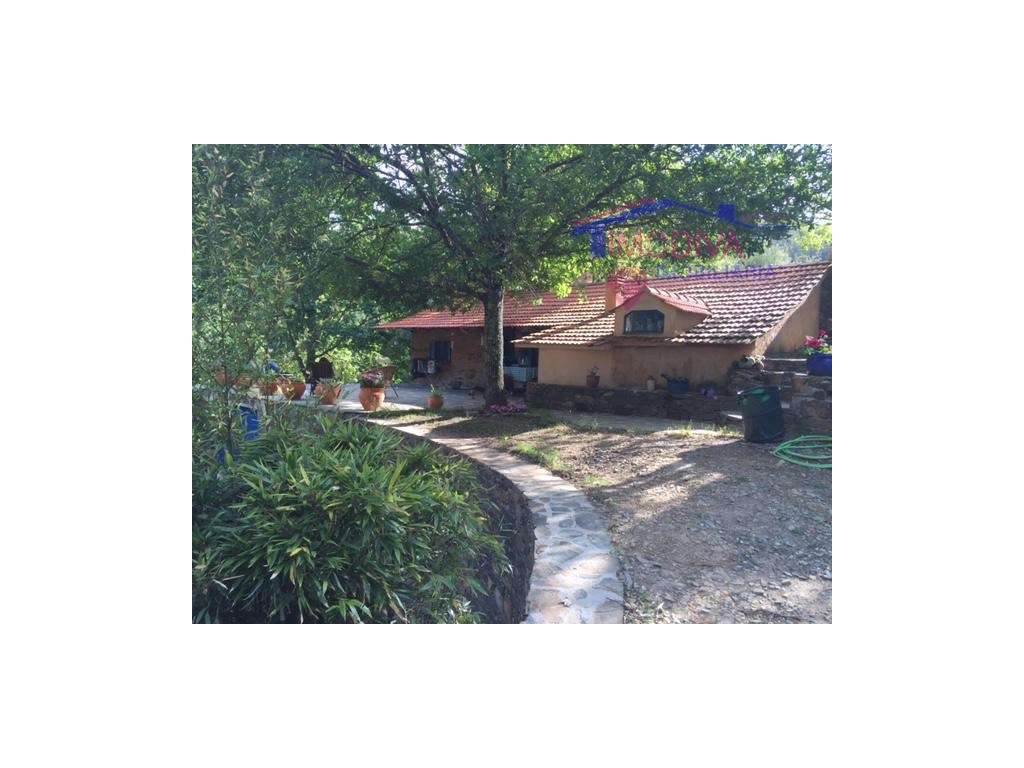 Herdade com 3 casas habitáveis e 2 hectares de terreno - Grande imagem: 5/37