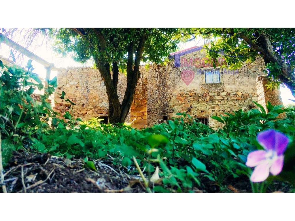 Casa T3 para reconstrução, com imenso potencial - Grande imagem: 4/37