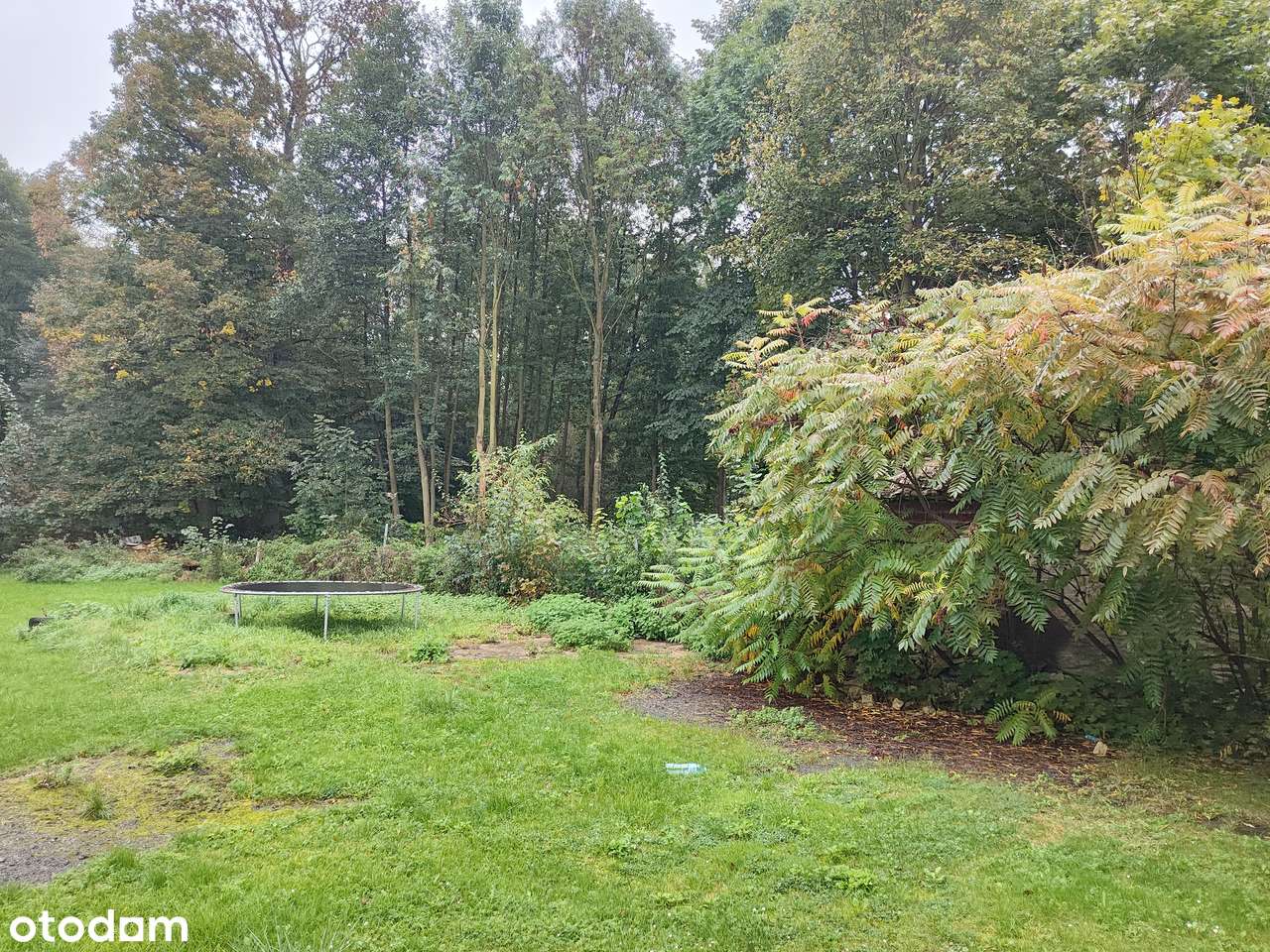 Przestronny dom z ogrodem w samym centrum.-6