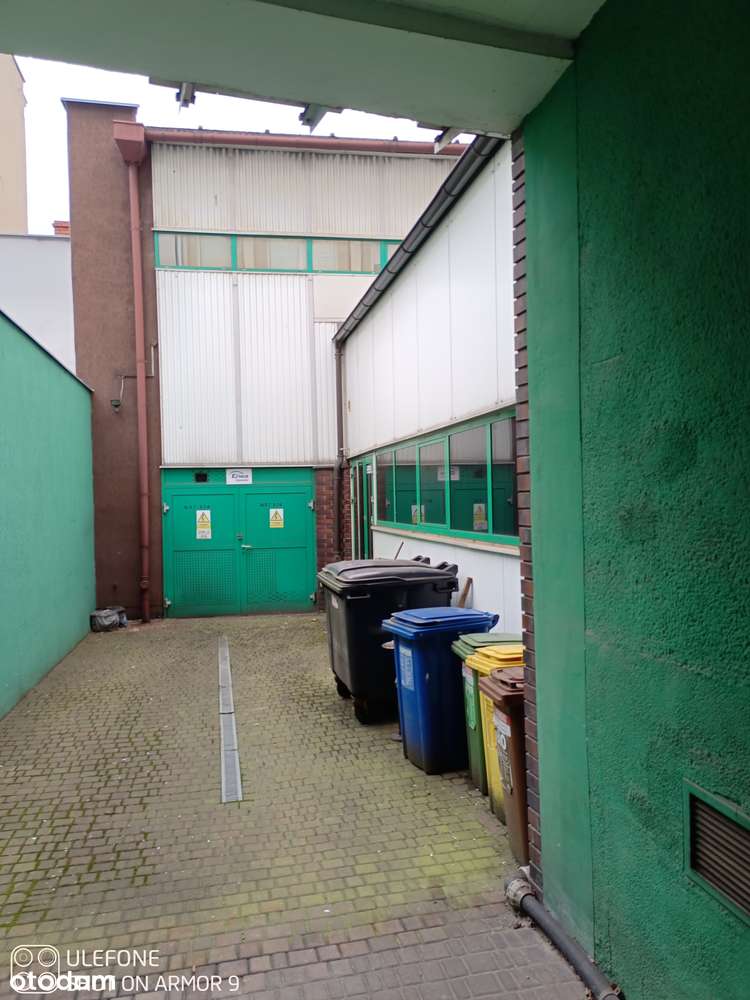 Poznań, ul. Małeckiego 29 - Pełny obrazek: 4/7