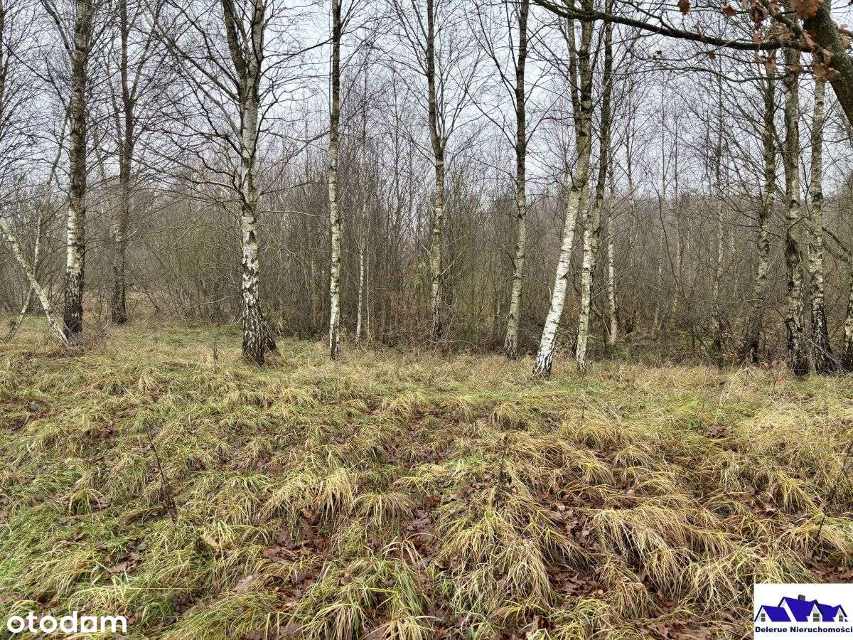 Działki budowlane gmina Czersk-3