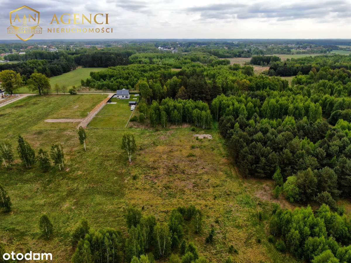 **Piękne Olmonty**Pod Lasem**2 Działki** - Pełny obrazek: 5/5