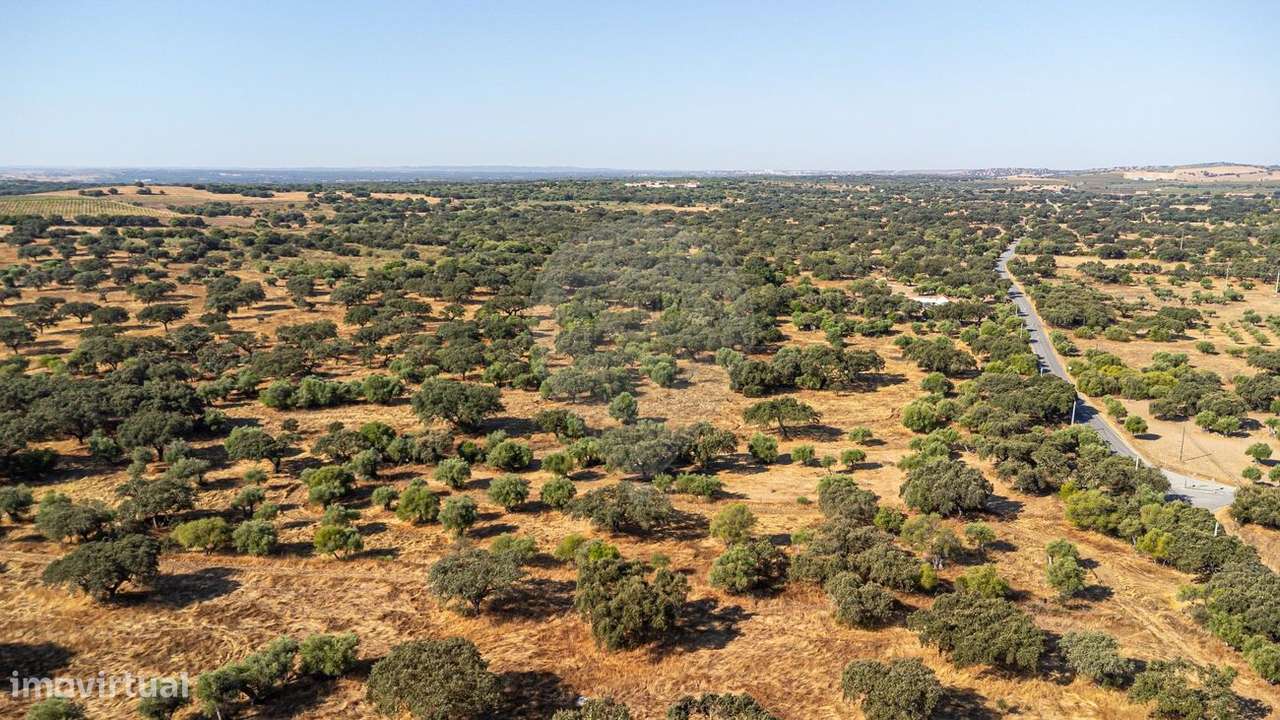 Terreno  para venda - Grande imagem: 5/15