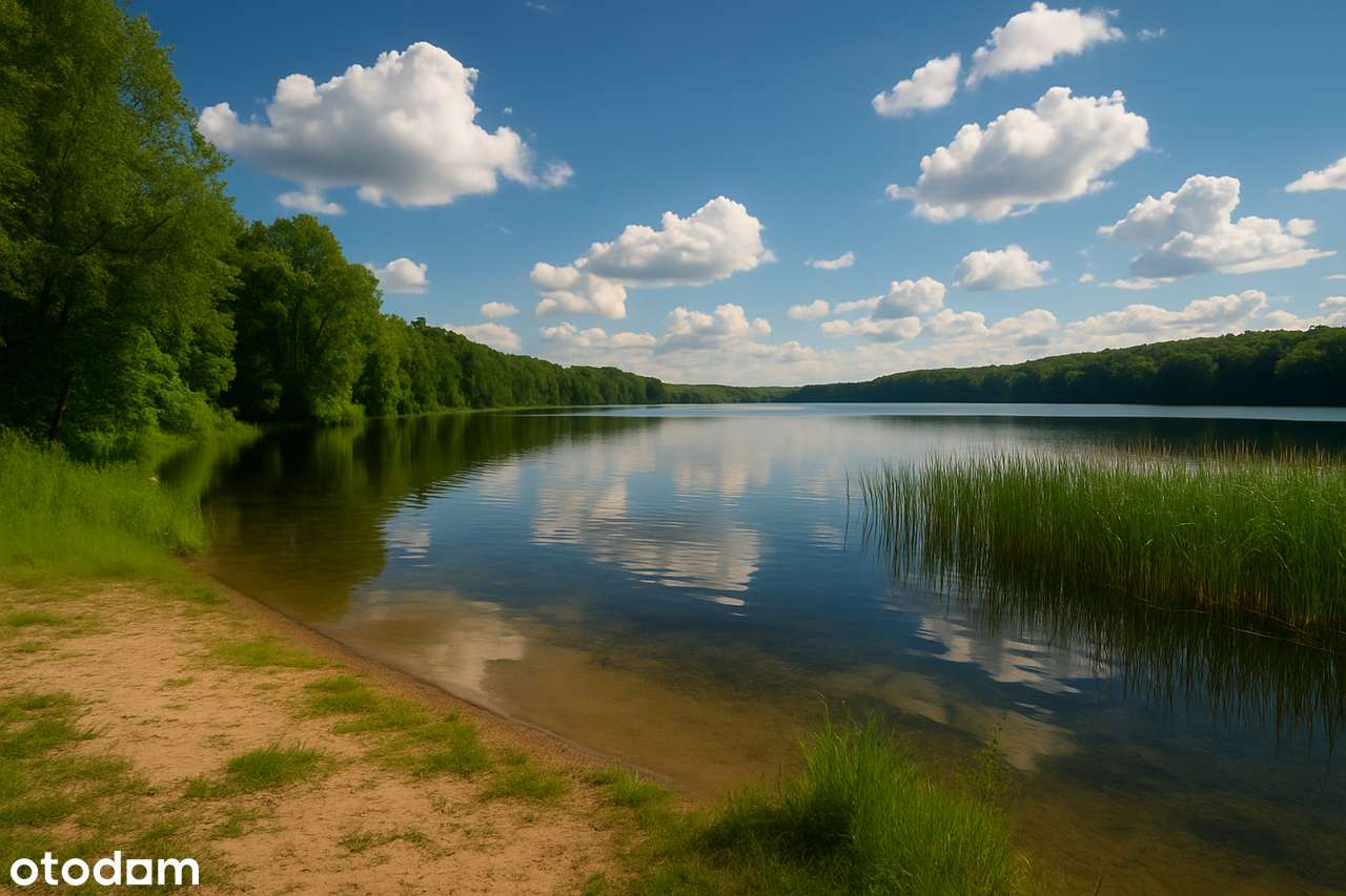 Twój azyl pod lasem – UNIKALNA działka z potencjałem w Wierzonce-1