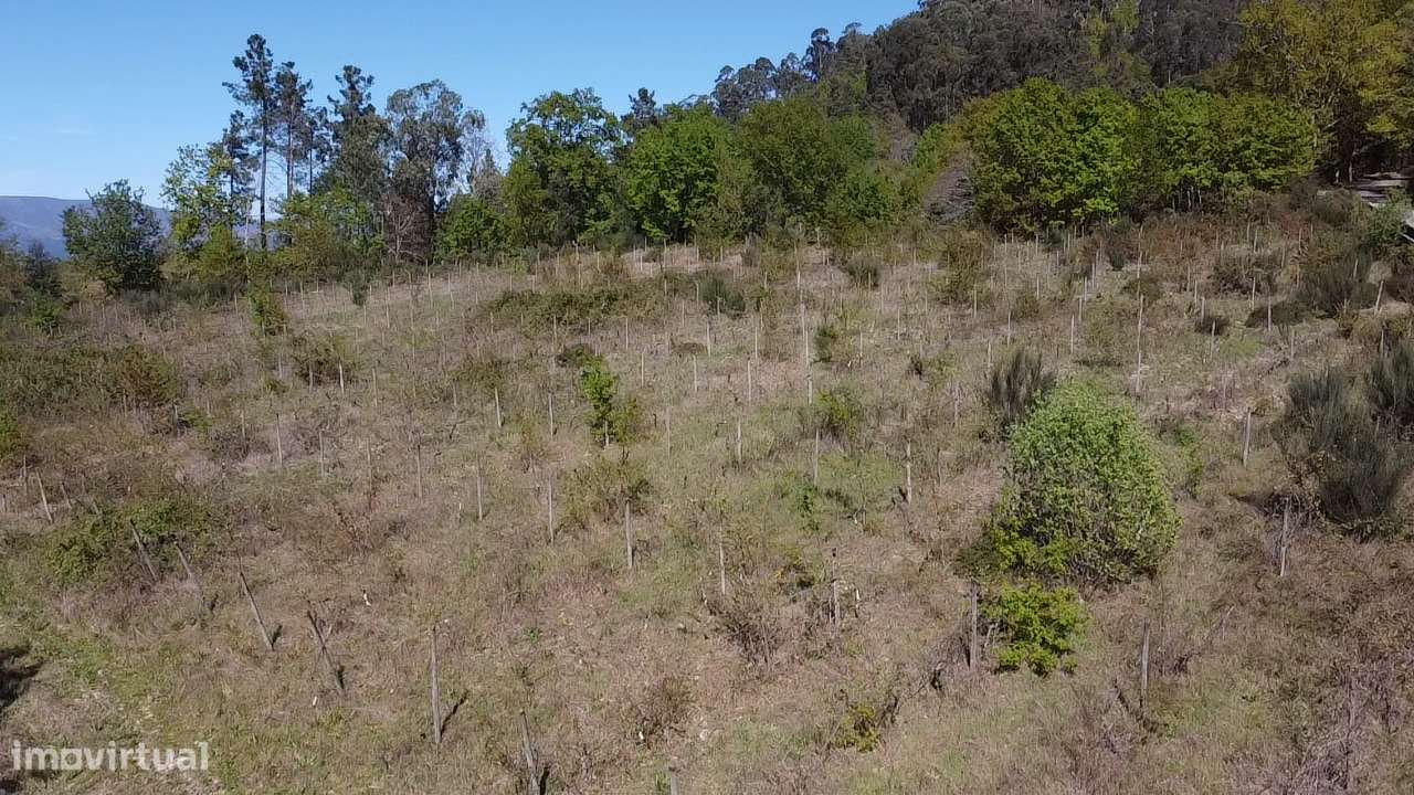 Terreno – Vouzela-6