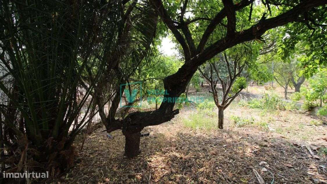 T2 em banda com garagem, jardim e terraço em Faro-18