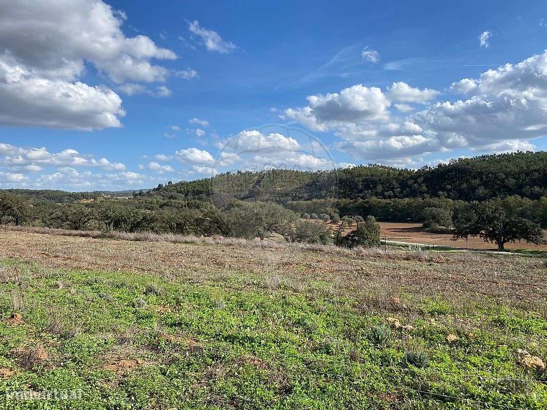 Herdade T2 para venda - Grande imagem: 5/12