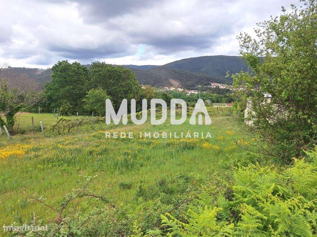 Terreno Rústico c/viabilidade de construção - Grande imagem: 2/3