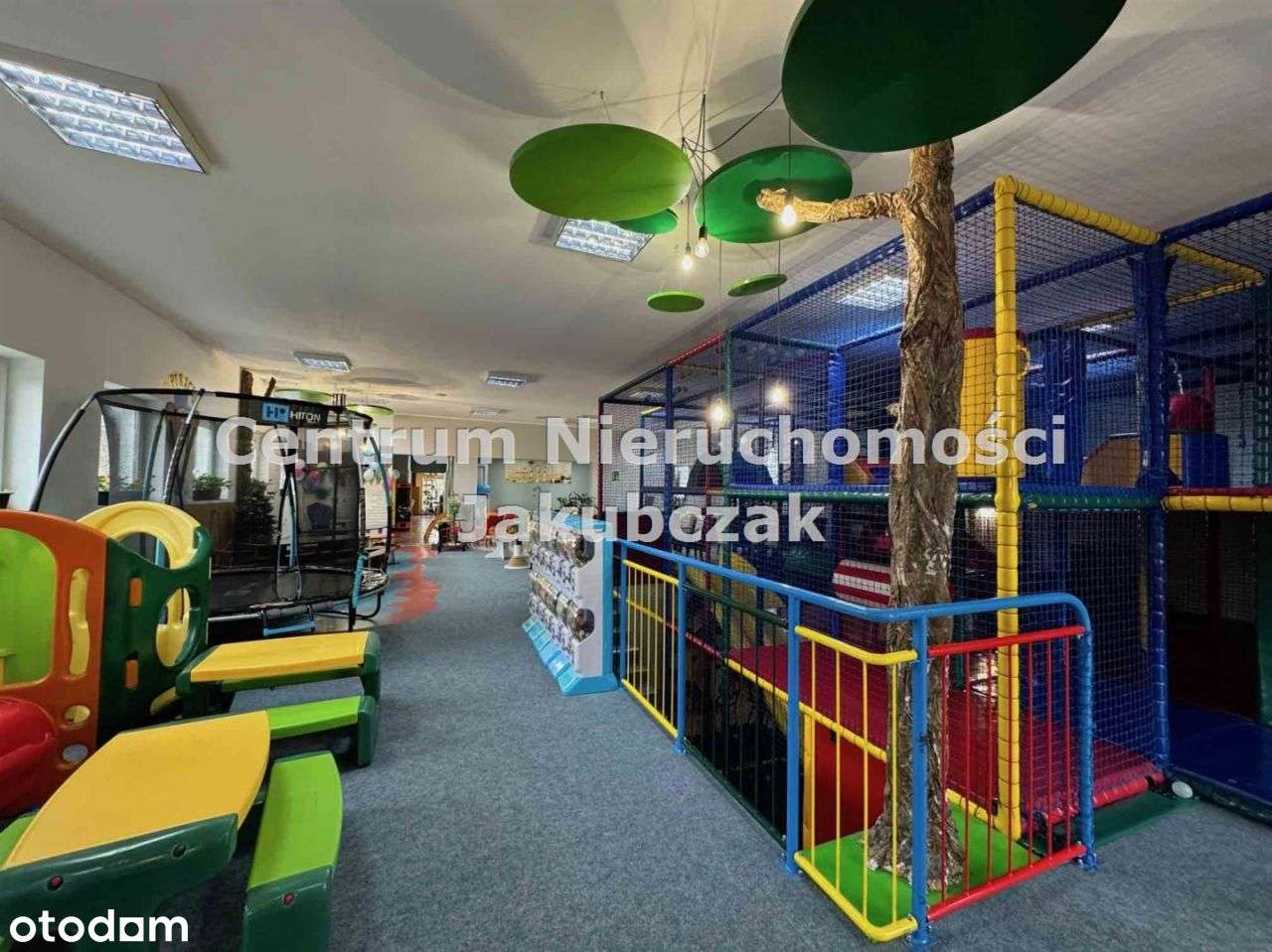 Lokal użytkowy, 450 m², Leszno-4