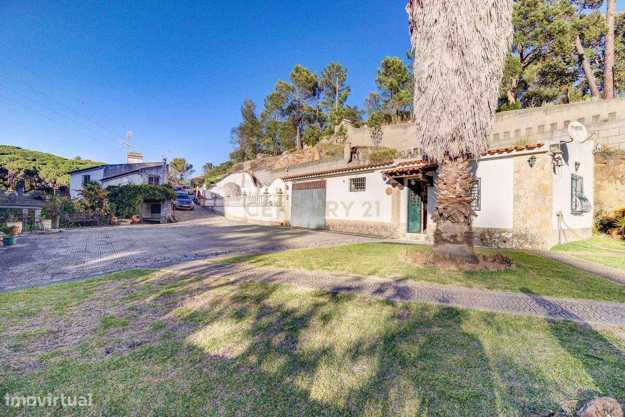 Quinta Rústica em Bucelas, com terreno de 4500m2 - Grande imagem: 5/37