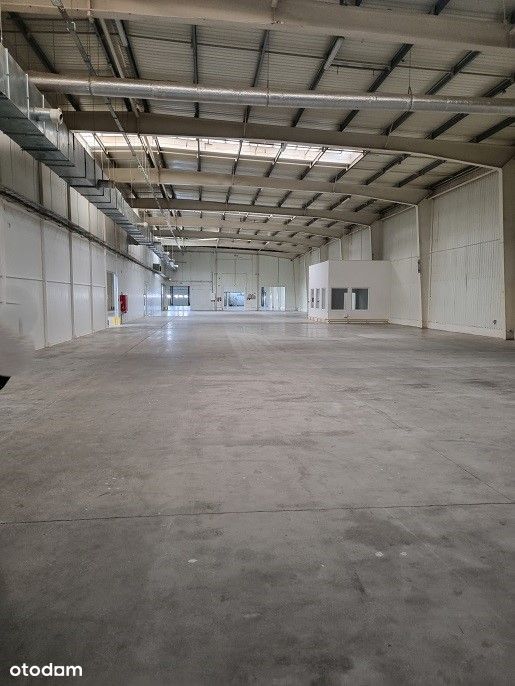 Komorniki hala 5800m2+biuro 500m2+socjal130m2